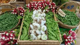 85-tete-de-gondole-legumes-mai-21.webp