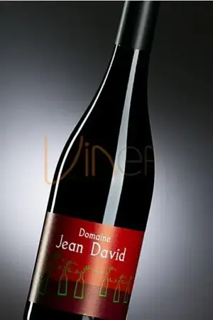 DOMAINE JEAN DAVID