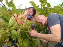 DOMAINE BADEA