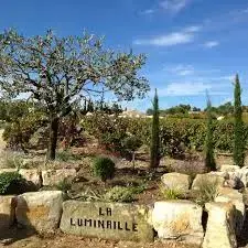 DOMAINE DE LA LUMINAILLE
