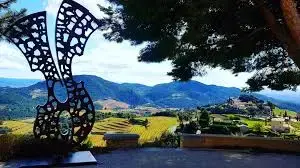 DOMAINE LA FERME SAINT MARTIN Vigneron
