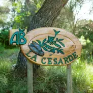 LA CESARDE